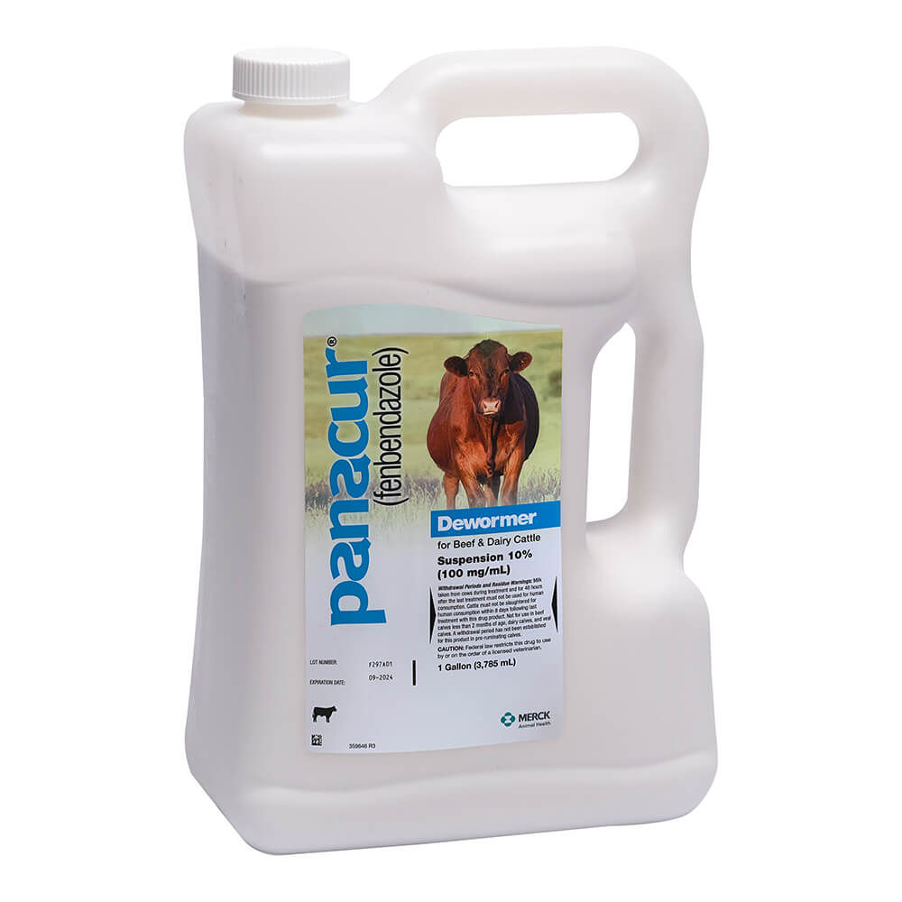 Panacur Beef & Dairy Cattle Dewormer Suspension Rx 10, Gallon