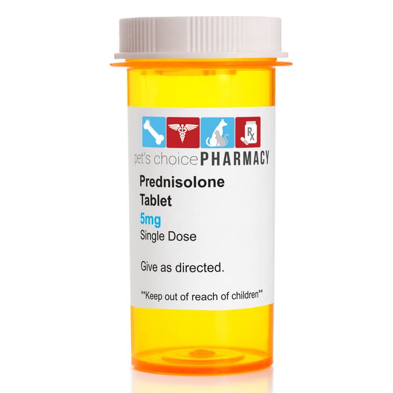 Rx Prednisolone, (Prednistab), 5mg X 1 Tablet - Lambert Vet Supply ...