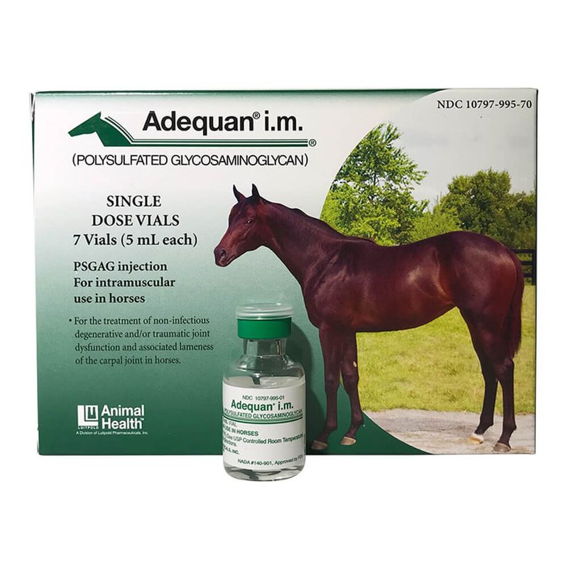 Rx Adequan for Horses, 500mg/5ml, 7 pack Lambert Vet Supply Dog