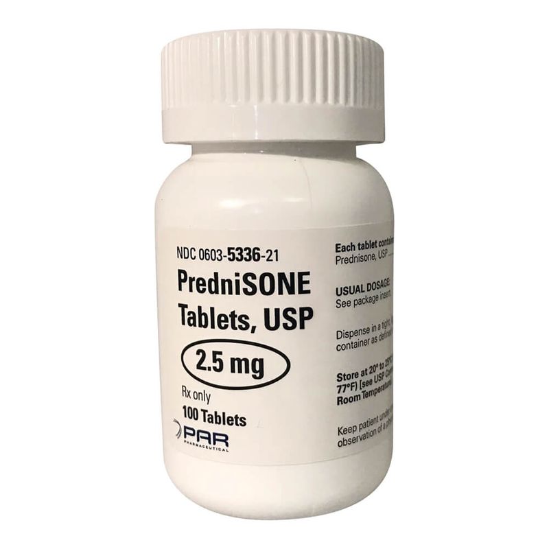 Rx PredniSONE Tablets, 2.5 Mg, 100 Count - Lambert Vet Supply | Dog ...