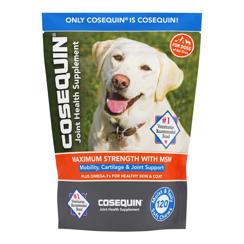 Cosequin Soft Chews with MSM Plus Omega3s for Dogs Lambert Vet