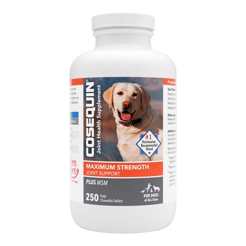 Cosequin Plus MSM Chewable Tablets