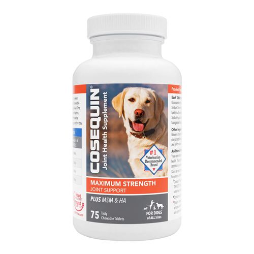 Cosequin DS plus MSM plus HA (Hyaluronic Acid) Chewable Tablets for Dogs  75 count