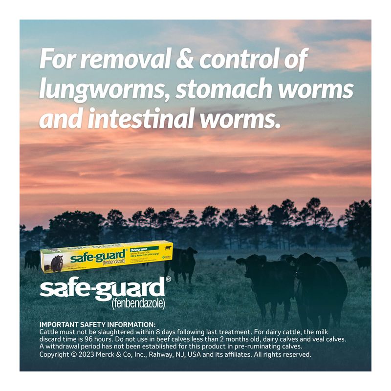 SafeGuard Beef & Dairy Cattle Dewormer (fenbendazole) Pet Supplies 4