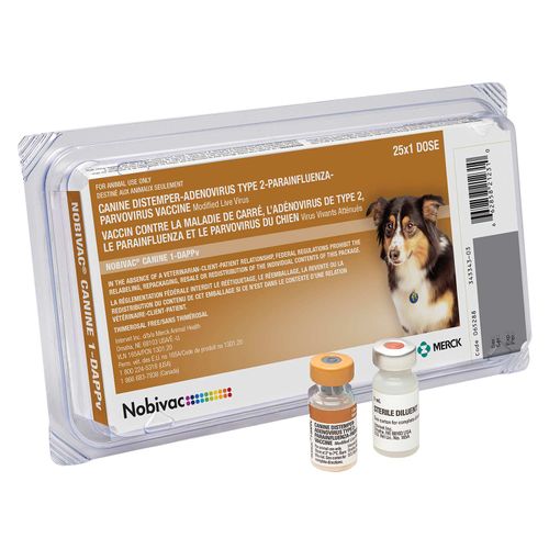 Nobivac Canine 1-DAPPv