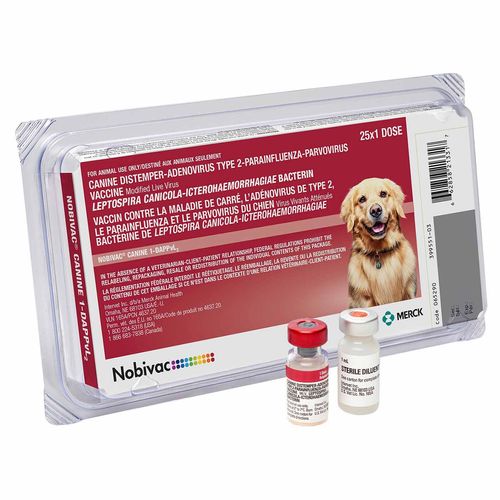 Nobivac Canine 1-DAPPvL2
