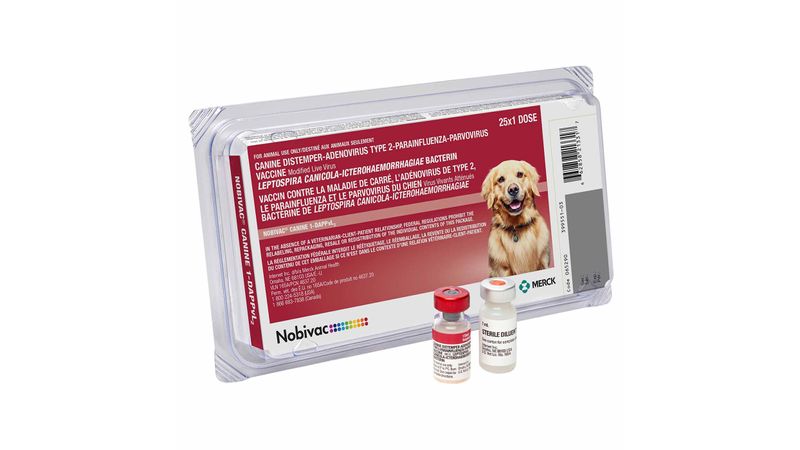 Canine store dap vaccine