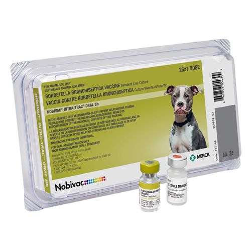 Nobivac Intra-Trac Oral Bb 25x1