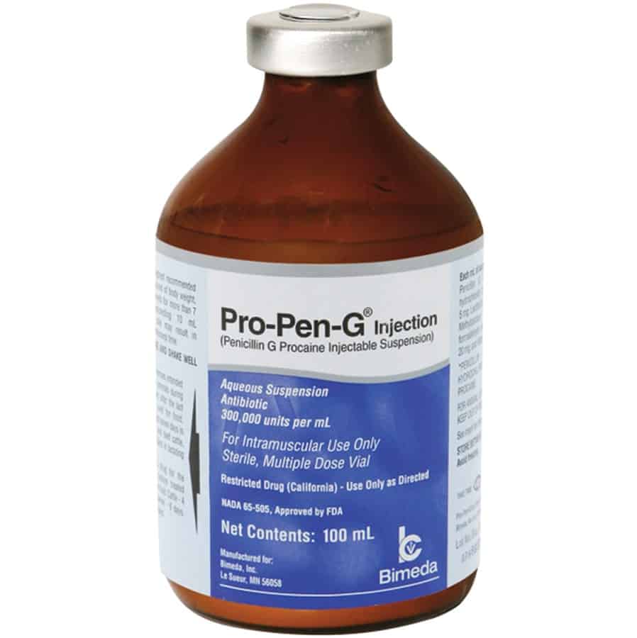 Rx Pro Pen G 100ml Pet Supplies 4 Less