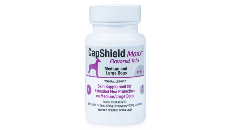 Pill flea medication for dogs hot sale