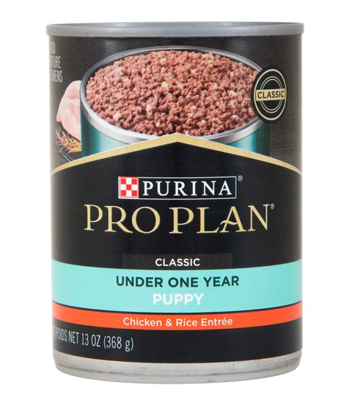 Pro Plan Focus Puppy Food