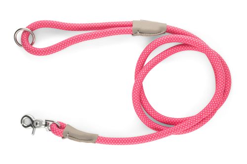 Mod Essentials Leash, 5 ft