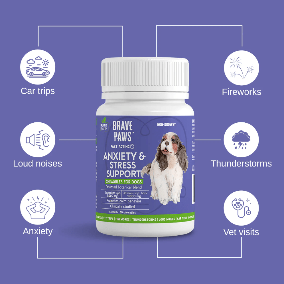 Brave Paws Anxiety & Stress Support Chewables for Dogs, Beef, 30 ct