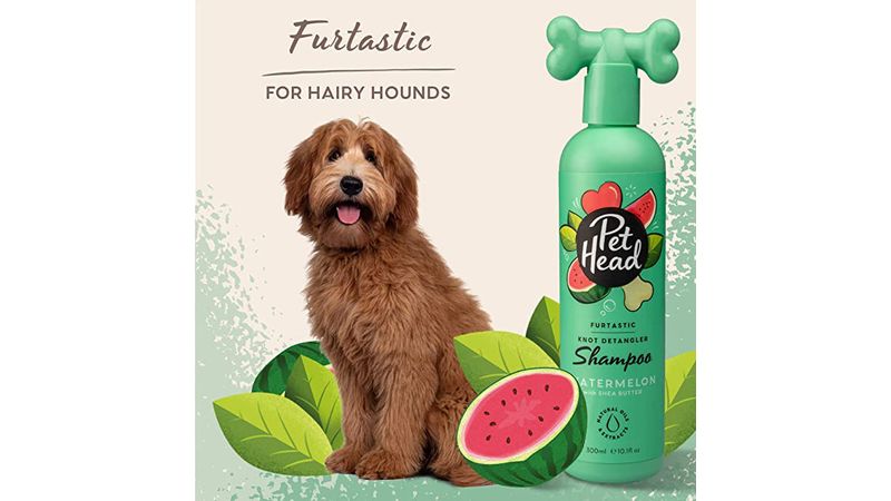 Pet Head Furtastic Knot Detangler Shampoo for Dogs Watermelon with Shea Butter 16oz