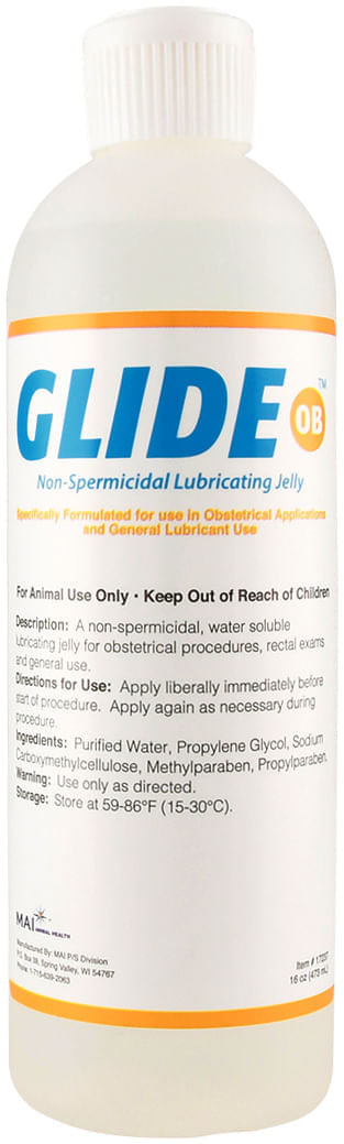 Glide Greaseless Lubricant, 16 oz