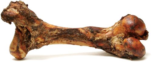 Jumbo Beef Bone for Medium to Large Dogs