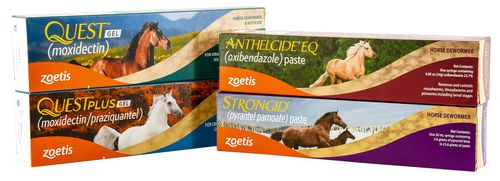 Zoetis Horse Deworming Kit