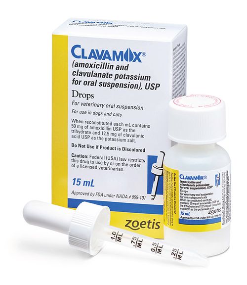 Clavamox Rx Drops