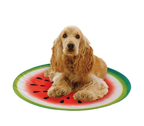 Pet Cooling Pad, Watermelon