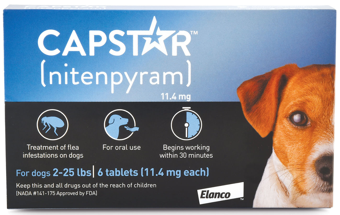 Capstar Oral Flea Treatment for Dogs and Cats Lambert Vet Supply Dog Cat Horse Kennel Vet Supplies