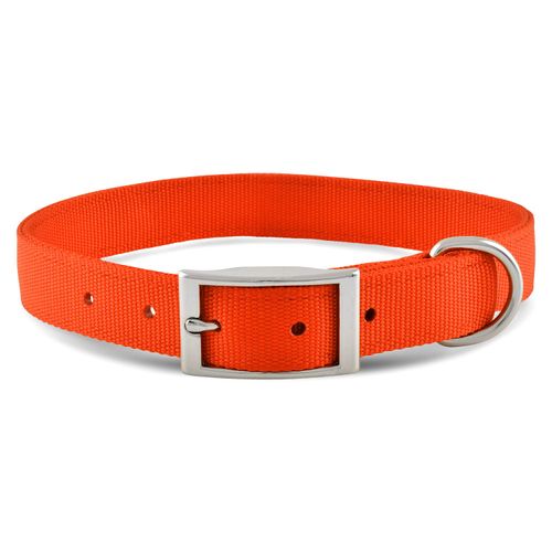 Jeffers 1" Wide Dog Collar, 16"L