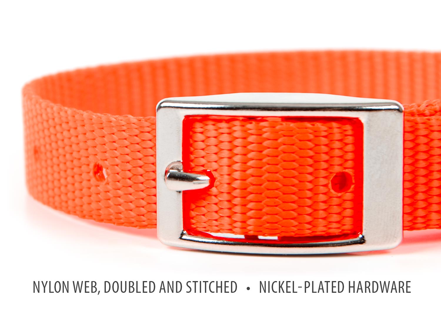 5/8"W Nylon Dog Collar, 12"L by Jeffers Lambert Vet Supply Dog, Cat