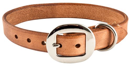 San Saba Dog Collar