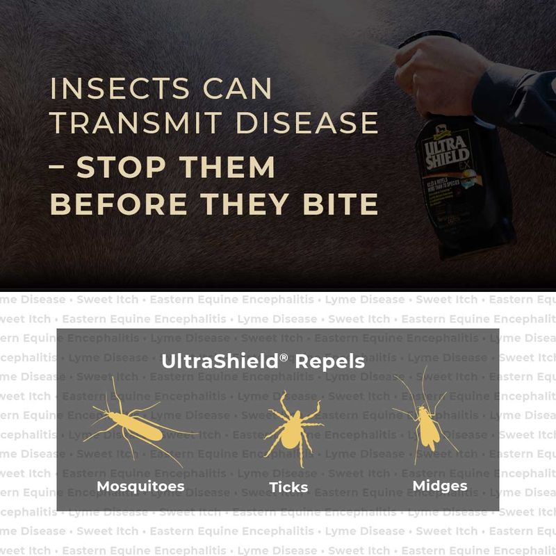 UltraShield EX Insecticide & Repellent Spray (Black) Lambert Vet