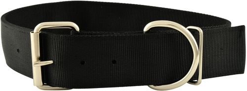 Jeffers 2" Big Dog Collars, 19"-23.5"