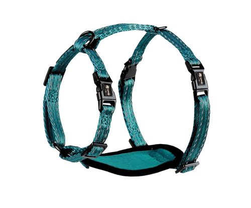 Alcott Adventure Harness