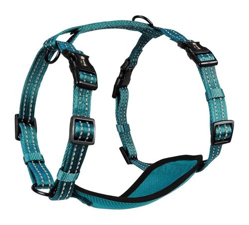 Alcott Adventure Harness