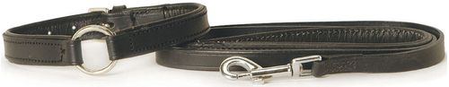 Jeffers Padded Leather Dog Collars