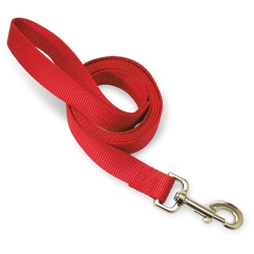 The Premier Leash, 1" x 6 ft