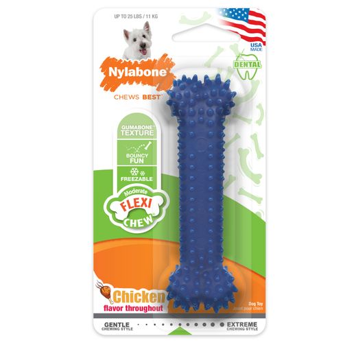 Nylabone Dental Chew Bone