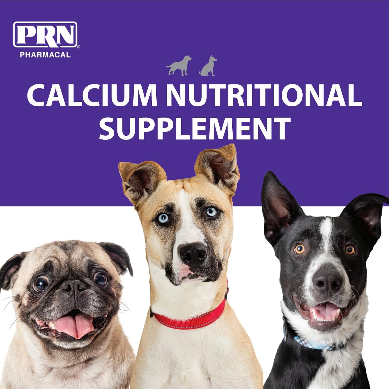 Calsorb, Calcium Supplement for Dogs - Pet Supplies 4 Less