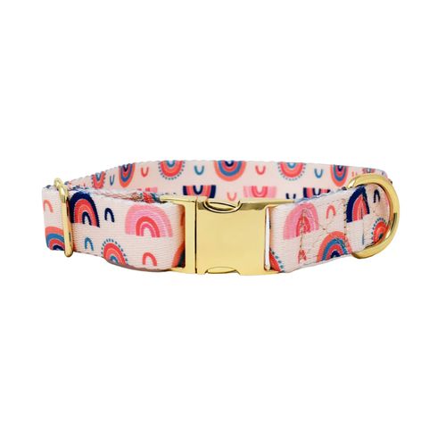 Pink Papyrus Clarke Collar, Rainbow