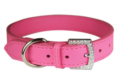 Crystal Buckle Collar