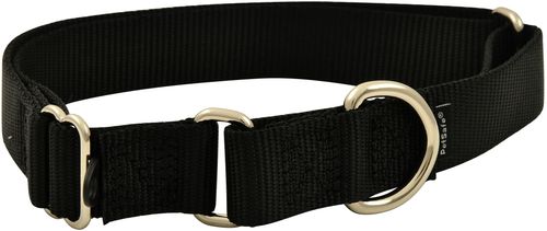 The Premier Collar, 1" x 14" - 20"