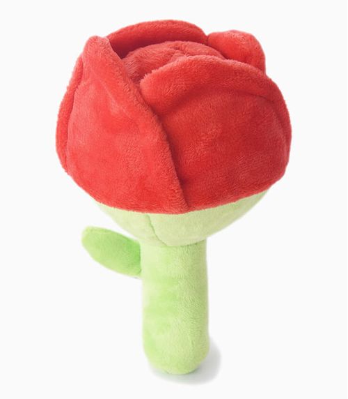 HugSmart Superball Rose Dog Toy