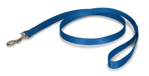 The Premier Leash, 3/4" x 6 ft