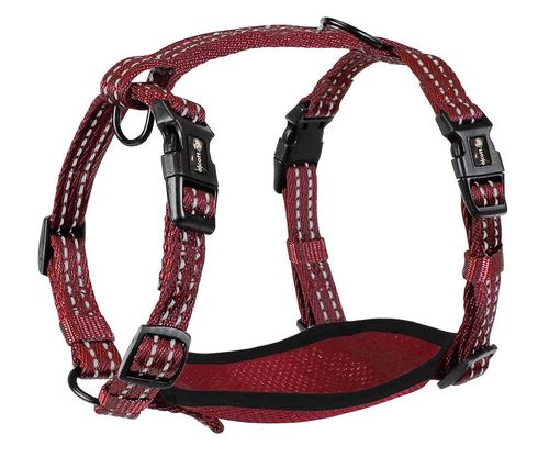 alcott Adventure Harness