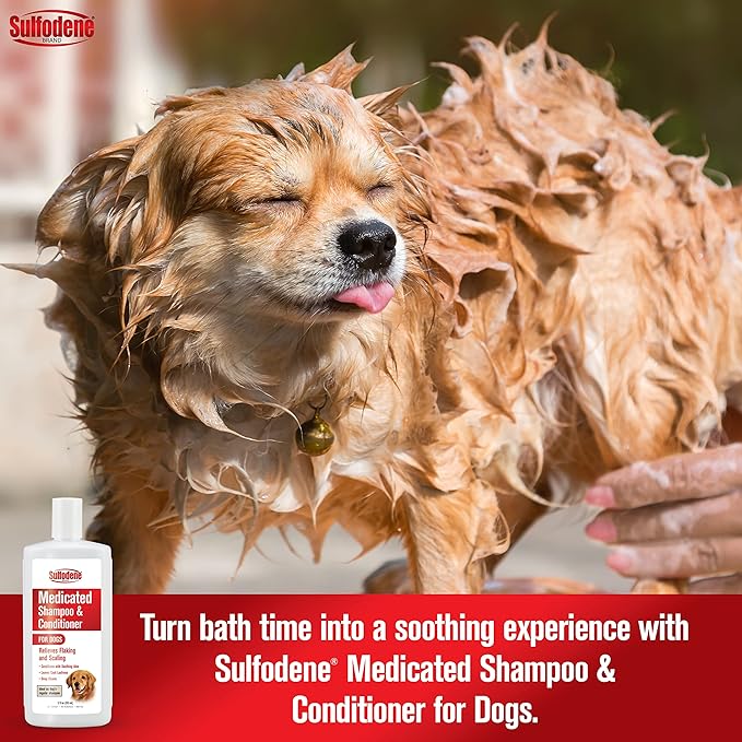 Sulfodene Medicated Dog Shampoo & Conditioner, 12 oz Lambert Vet Supply Dog, Cat, Horse