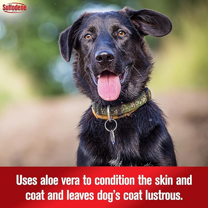 Sulfodene Medicated Dog Shampoo & Conditioner, 12 oz Lambert Vet