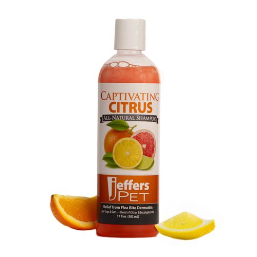 Jeffers Captivating Citrus Shampoo for Dogs and Cats