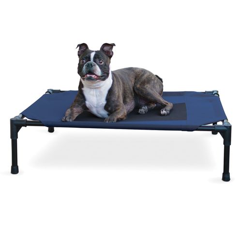 Elevated Pet Bed, Medium