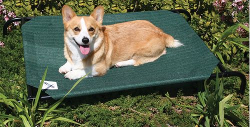 Coolaroo Pet Bed