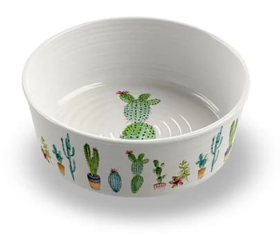 Cactus Pet Bowl