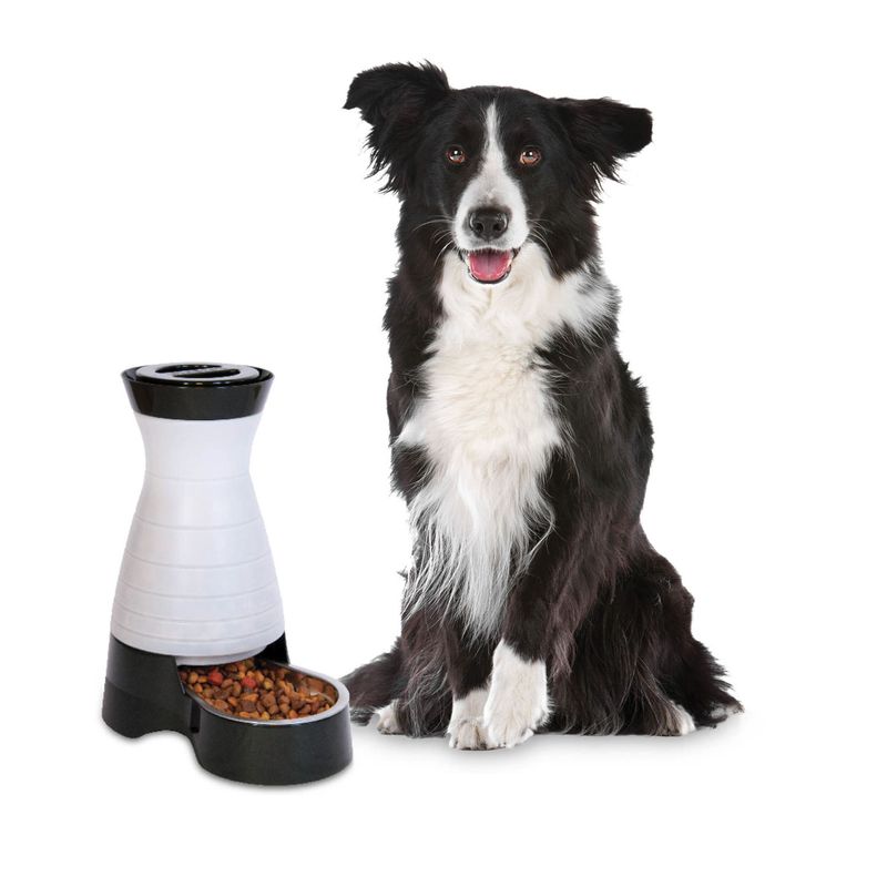 Healthy Pet Food Station by PetSafe Lambert Vet Supply Dog, Cat