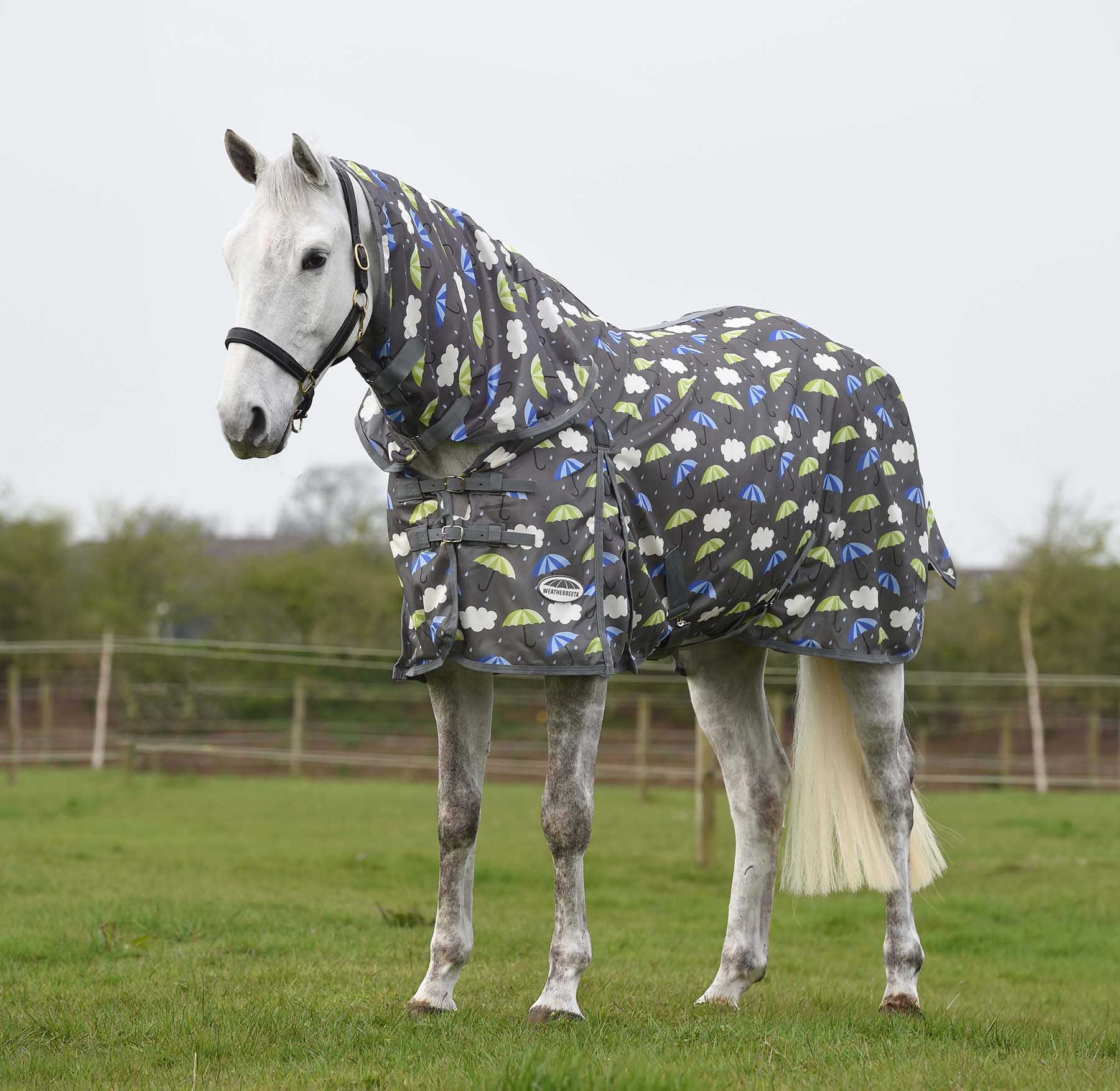 WeatherBeeta ComFITec Essential Mesh II Combo Neck Horse Fly Sheet ...