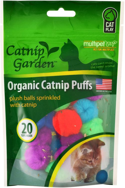 Catnip Garden Catnip